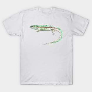 Lizard T-Shirt